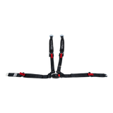 4-Point Harness (passenger)