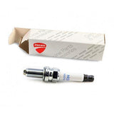 SPARK PLUG-67040451A