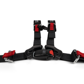 4-Point Harness (driver)