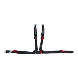 4-Point Harness (passenger)
